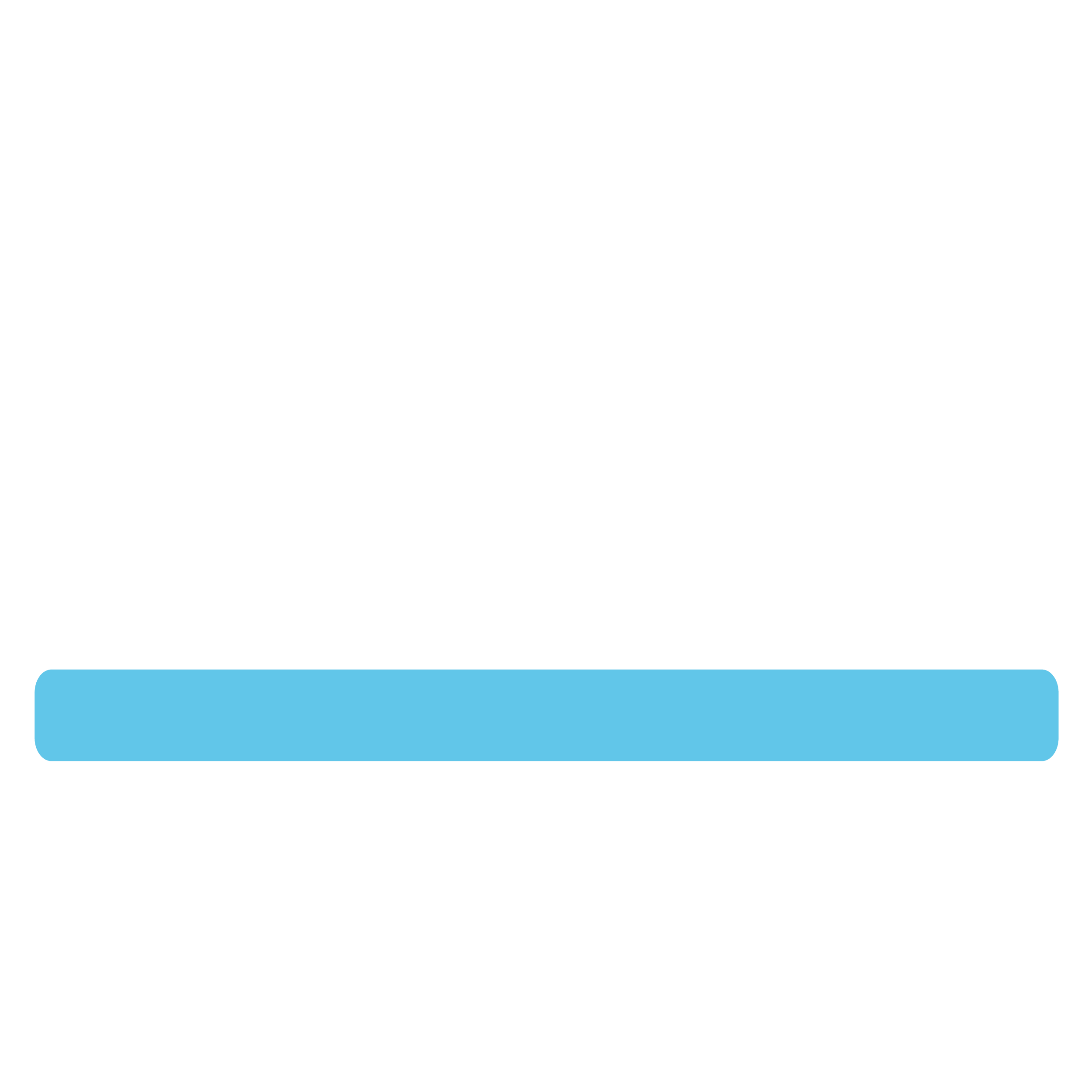 Lohnschnitt